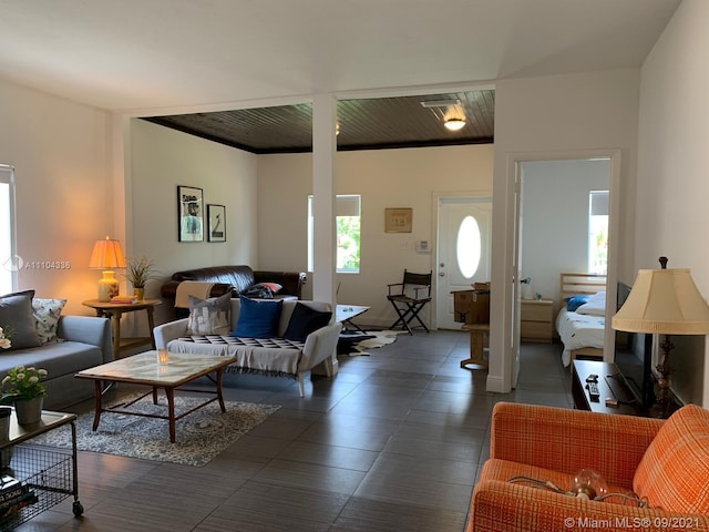 living room featuring a wealth of natural light