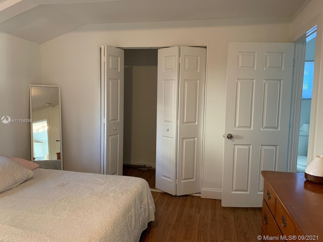 bedroom with a closet and dark hardwood / wood-style floors