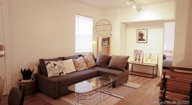 living room featuring light wood-type flooring