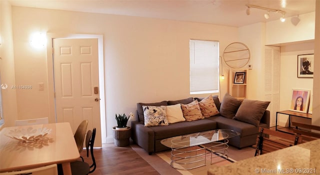 living room featuring track lighting and dark wood-type flooring