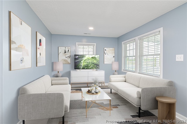 living room with hardwood / wood-style floors