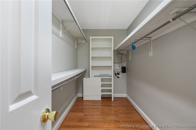 spacious closet with light wood-type flooring