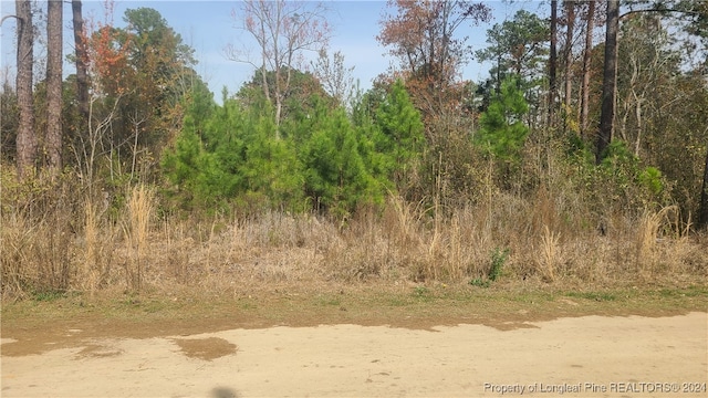 58 Lennondale Blvd, White Lake NC, 28337 land for sale