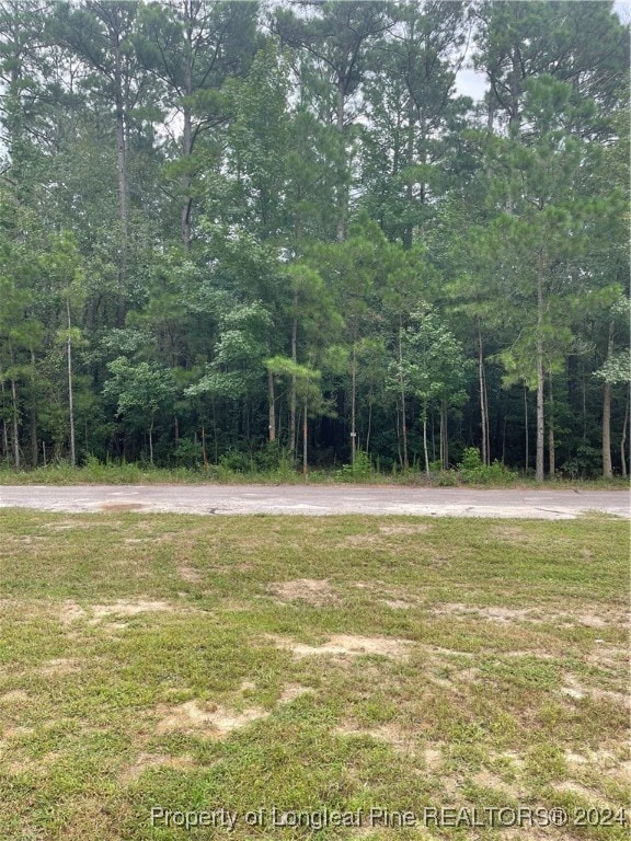 Listing photo 2 for TDB Covenant Ln, Godwin NC 28344