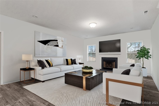 living room with hardwood / wood-style flooring