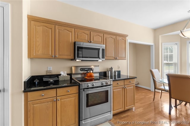 kitchen with light wood-type flooring and stainless steel appliances