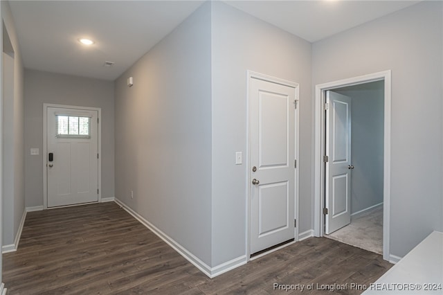 foyer entrance featuring dark wood-type flooring