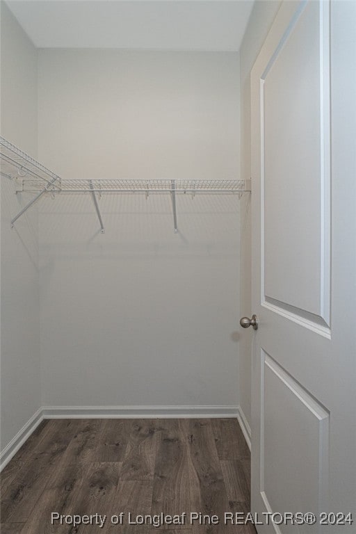 spacious closet with dark wood-type flooring