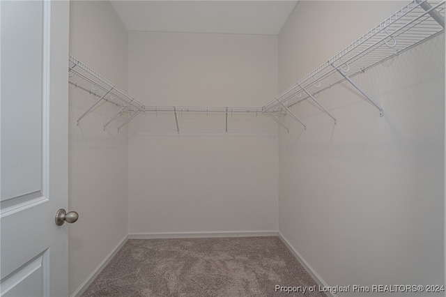 spacious closet with carpet