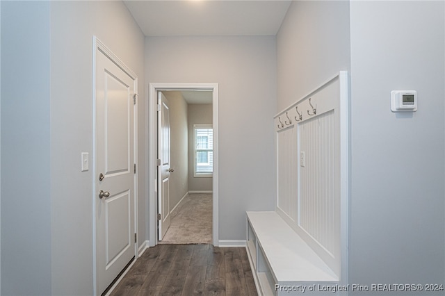 mudroom featuring dark wood-type flooring