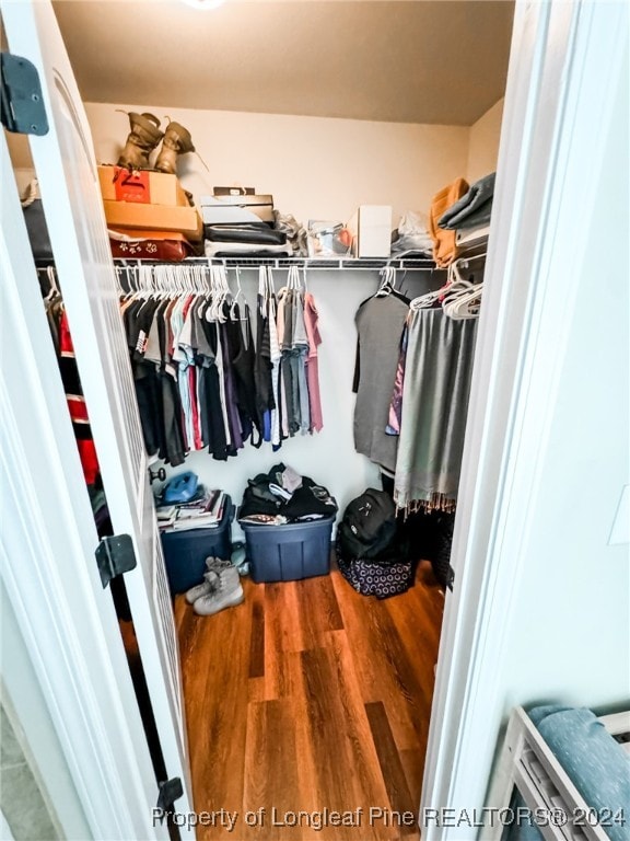 walk in closet featuring wood-type flooring