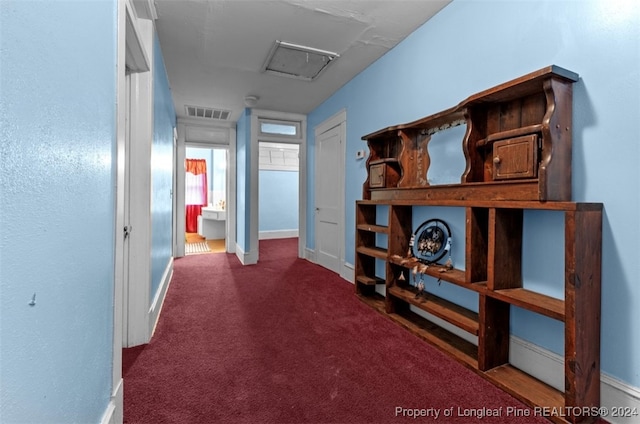 hallway featuring carpet floors