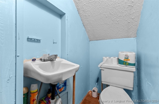 bathroom featuring hardwood / wood-style floors, lofted ceiling, and toilet