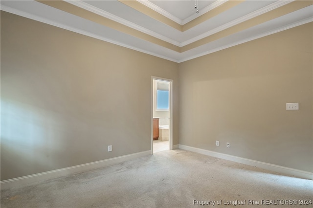 empty room with a raised ceiling, light carpet, and ornamental molding