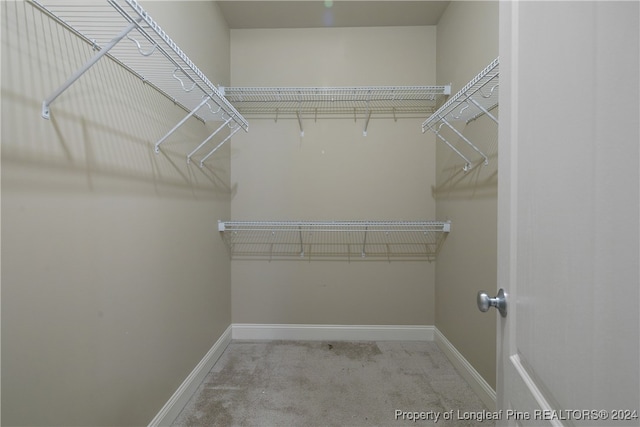 walk in closet featuring light colored carpet