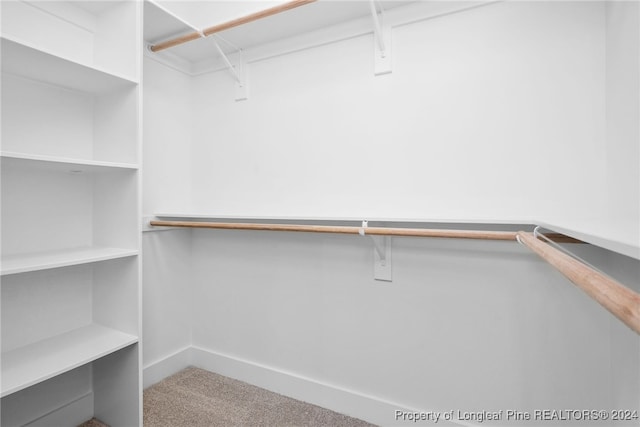 spacious closet featuring carpet floors