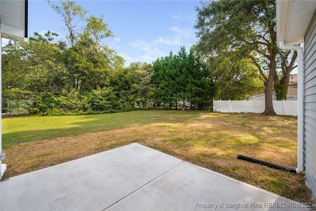 view of yard featuring a patio