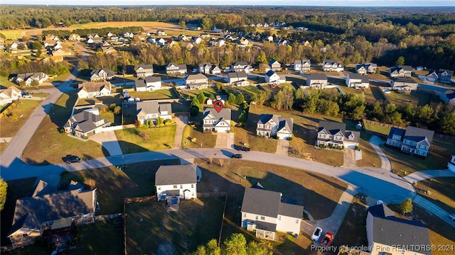 bird's eye view