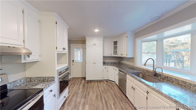 kitchen with white cabinetry, sink, exhaust hood, and appliances with stainless steel finishes