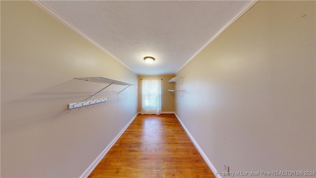 spacious closet featuring wood-type flooring