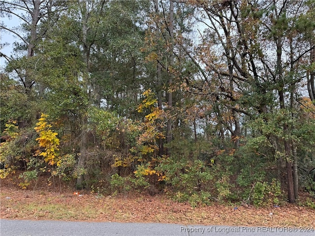 E Donaldson St, Raeford NC, 28376 land for sale