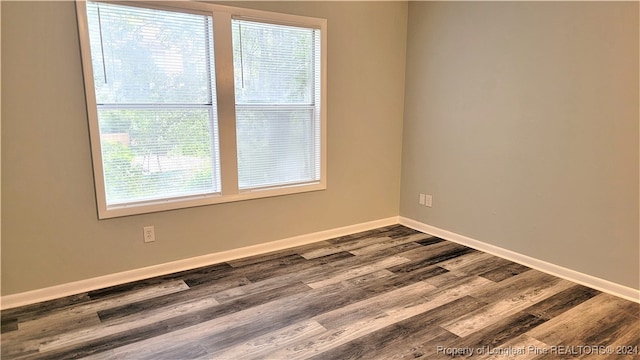 empty room featuring wood-type flooring