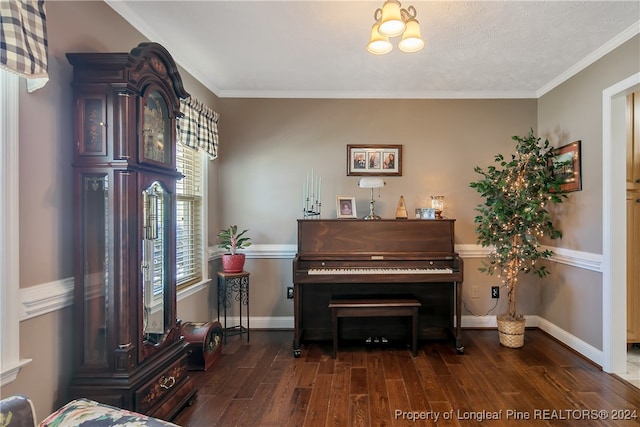 misc room featuring crown molding, dark wood-type flooring, and a textured ceiling