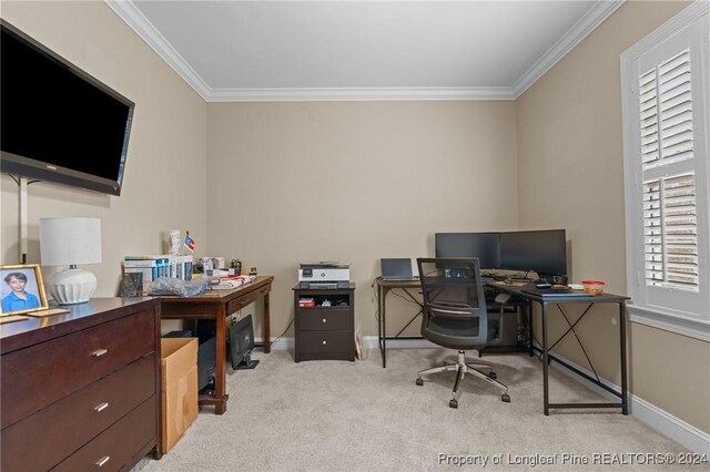 office area featuring light carpet and a wealth of natural light