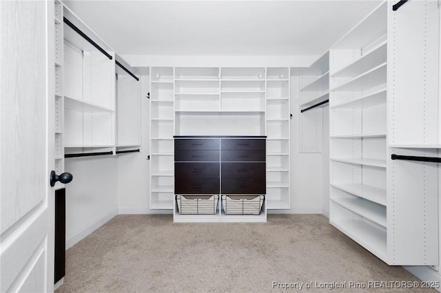 spacious closet featuring light carpet