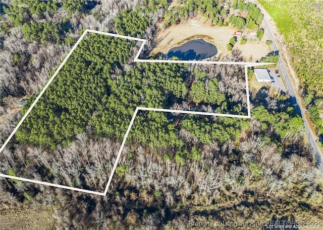 Listing photo 3 for TBD US-1 Highway, Vass NC 28394