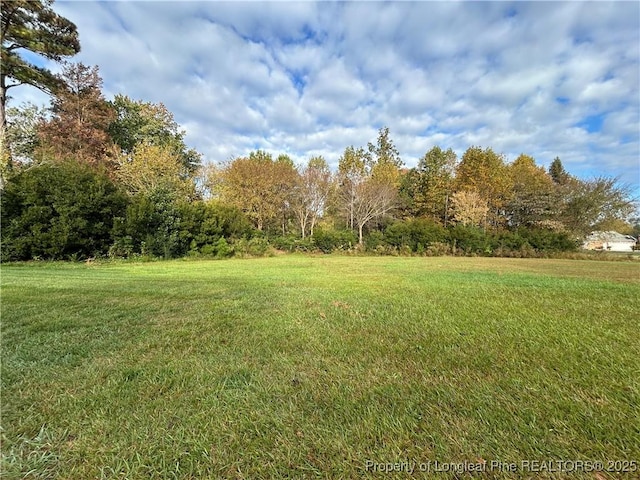 0 Chancellors Ridge Way, Sanford, NC 27330 - photo 1