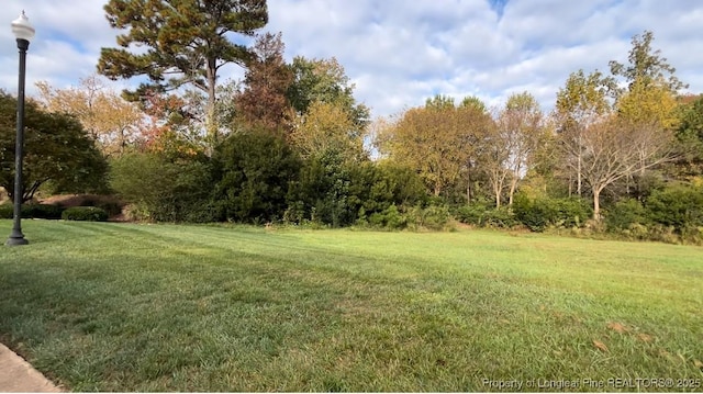 0 Chancellors Ridge Way, Sanford, NC 27330 - photo 3