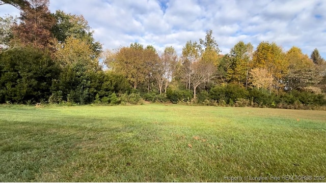 0 Chancellors Ridge Way, Sanford, NC 27330 - photo 4