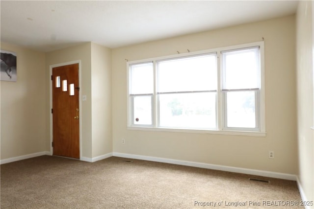 foyer entrance with a healthy amount of sunlight and carpet floors