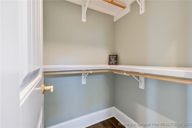 walk in closet featuring hardwood / wood-style floors