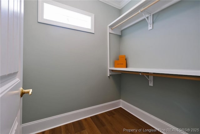 walk in closet with hardwood / wood-style flooring