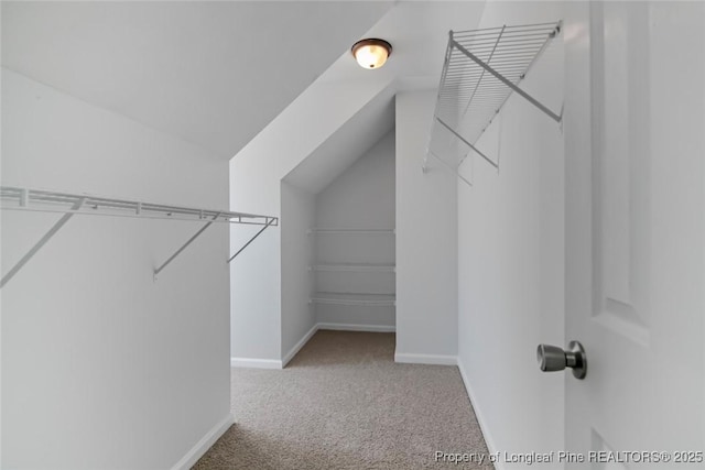 walk in closet featuring lofted ceiling and carpet floors