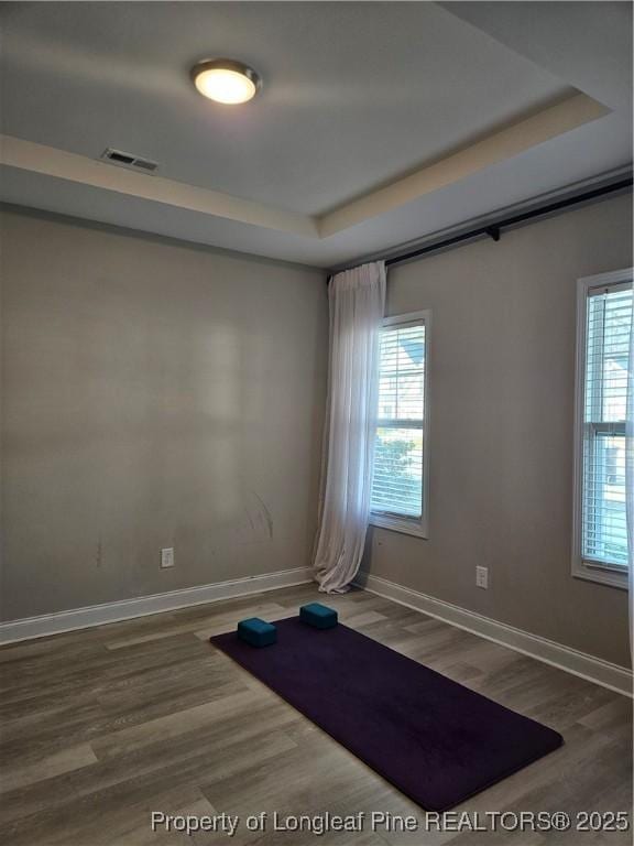 spare room with wood-type flooring, a tray ceiling, and plenty of natural light