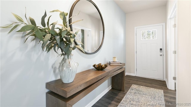 entryway featuring dark wood-type flooring