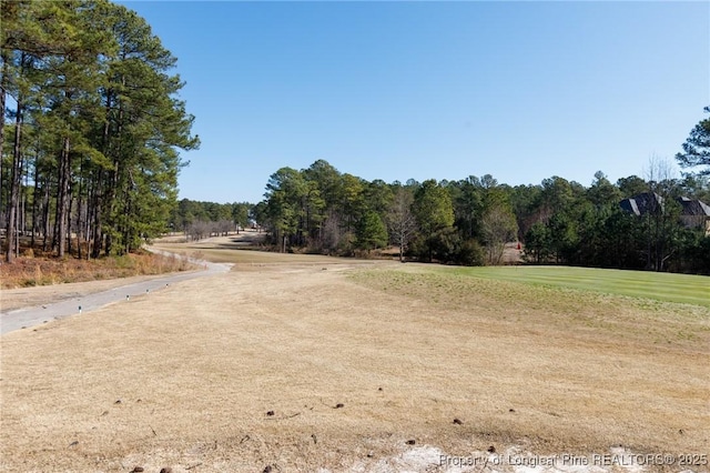 Caddie Ct, Wagram NC, 28396 land for sale