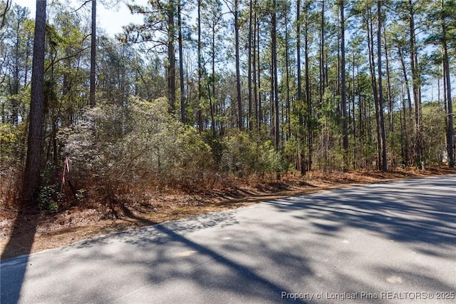 Listing photo 2 for Caddie Ct, Wagram NC 28396