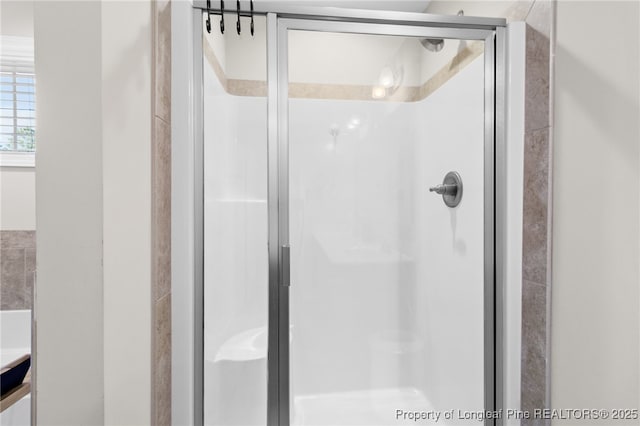 bathroom with a stall shower