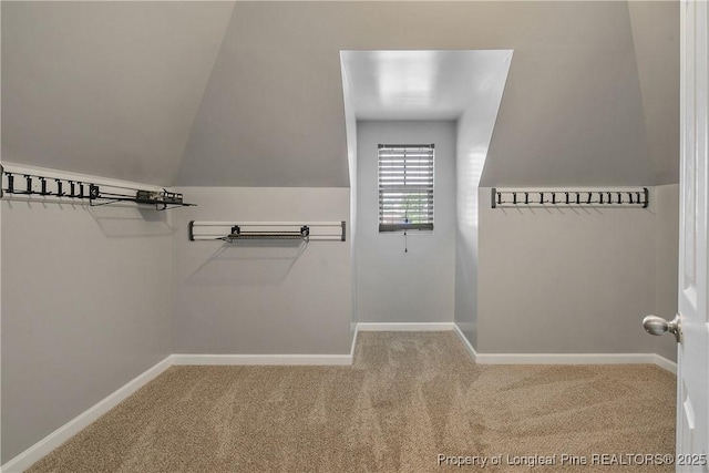 walk in closet featuring carpet