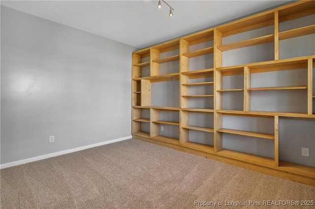 carpeted empty room with track lighting and baseboards