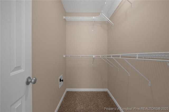 spacious closet with carpet