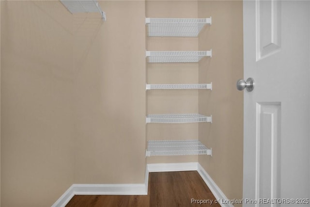 spacious closet featuring wood finished floors