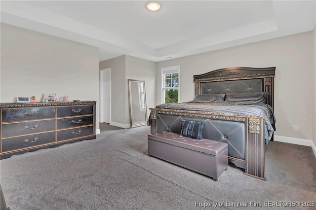 5145 Maxwell Rd, Stedman, NC 28391 - bedroom with carpet, baseboards, and a tray ceiling