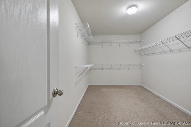 153 Dairy Ct, Raeford, NC 28376 - walk in closet featuring carpet flooring