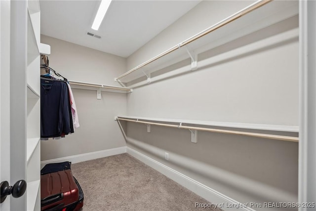 405 Gilpin Way, Cary, NC 27519 - walk in closet featuring carpet