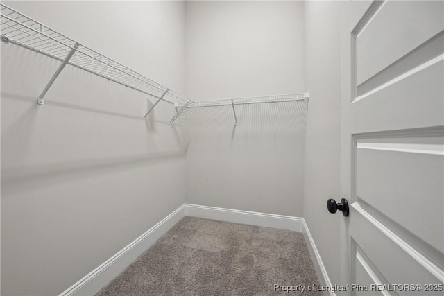 405 Gilpin Way, Cary, NC 27519 - spacious closet featuring carpet